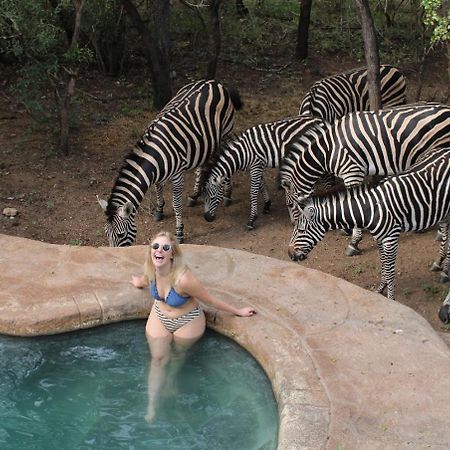 Kruger Park Hostel マールロス・パーク エクステリア 写真