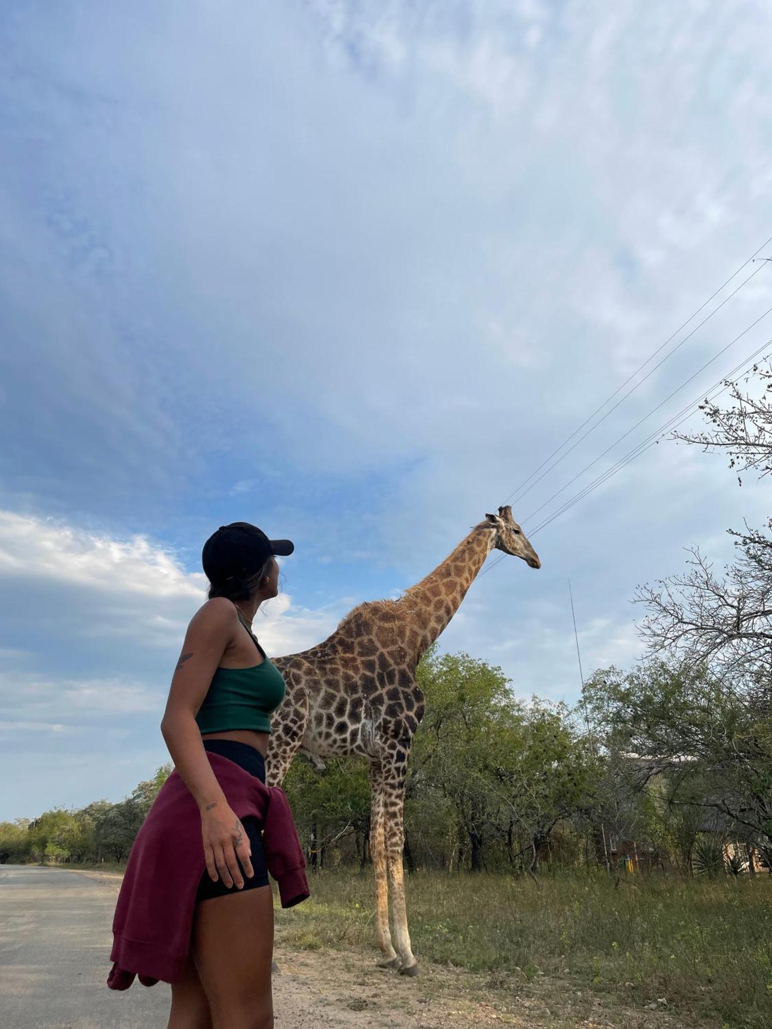 Kruger Park Hostel マールロス・パーク エクステリア 写真