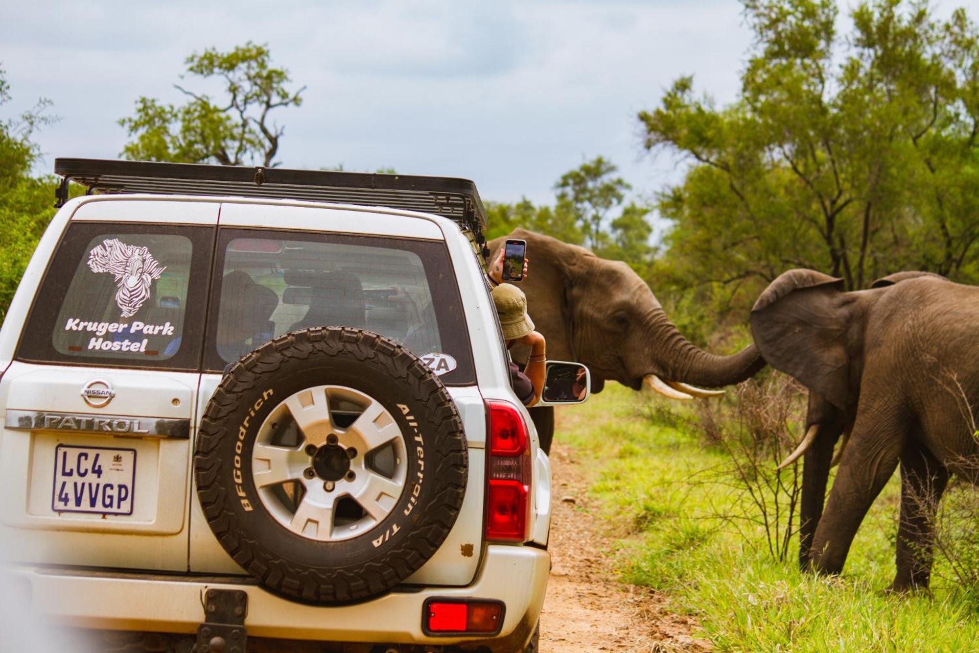 Kruger Park Hostel マールロス・パーク エクステリア 写真