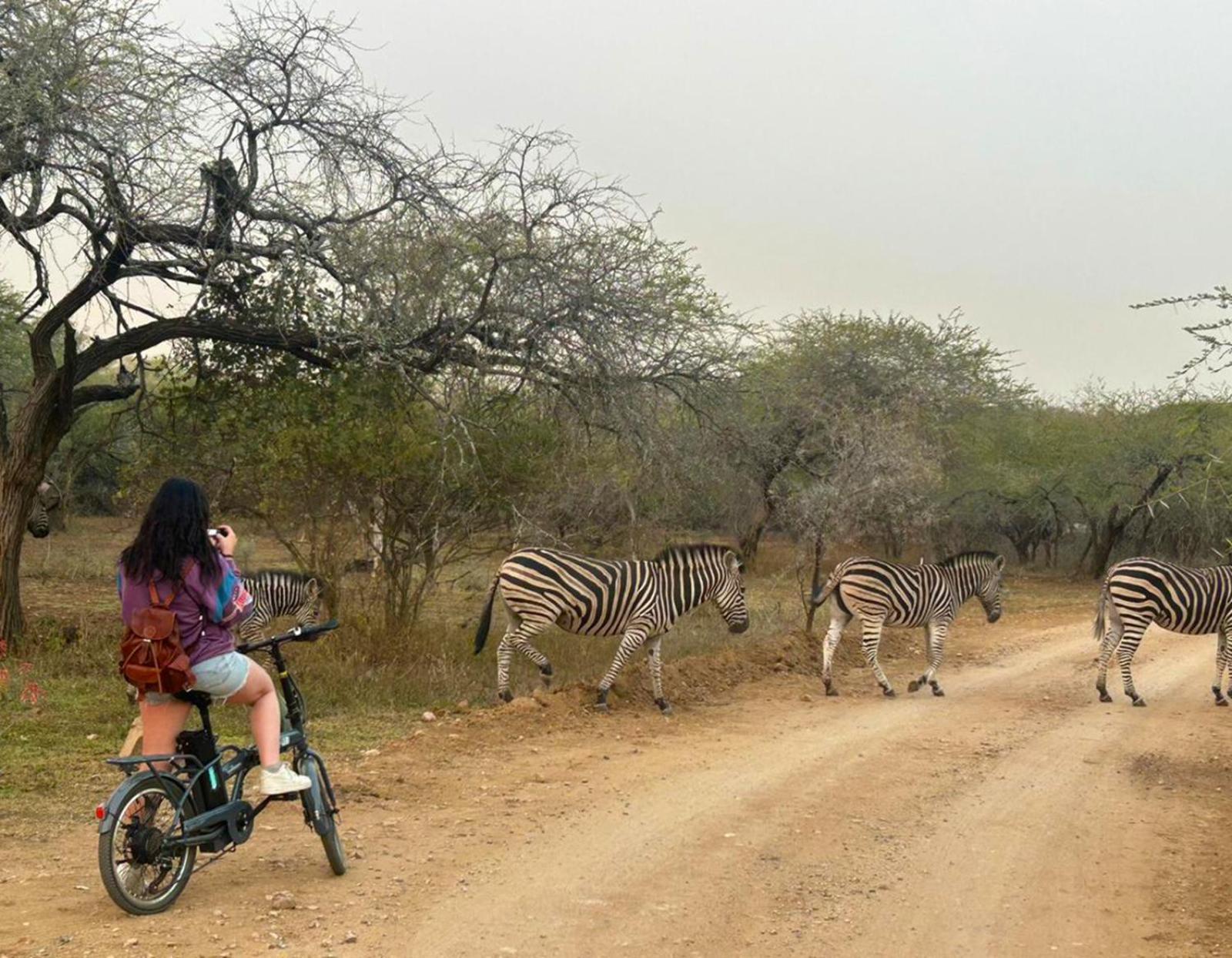 Kruger Park Hostel マールロス・パーク エクステリア 写真