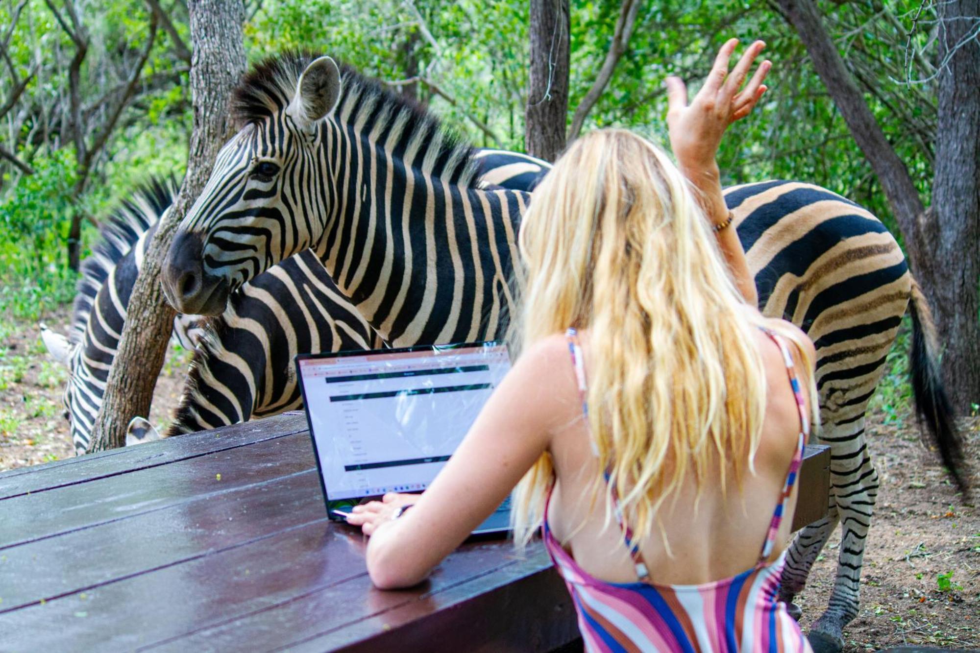 Kruger Park Hostel マールロス・パーク エクステリア 写真